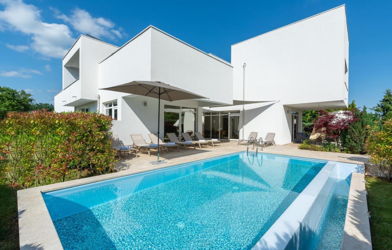 Villa Kate Istria Žminj Екстериор снимка